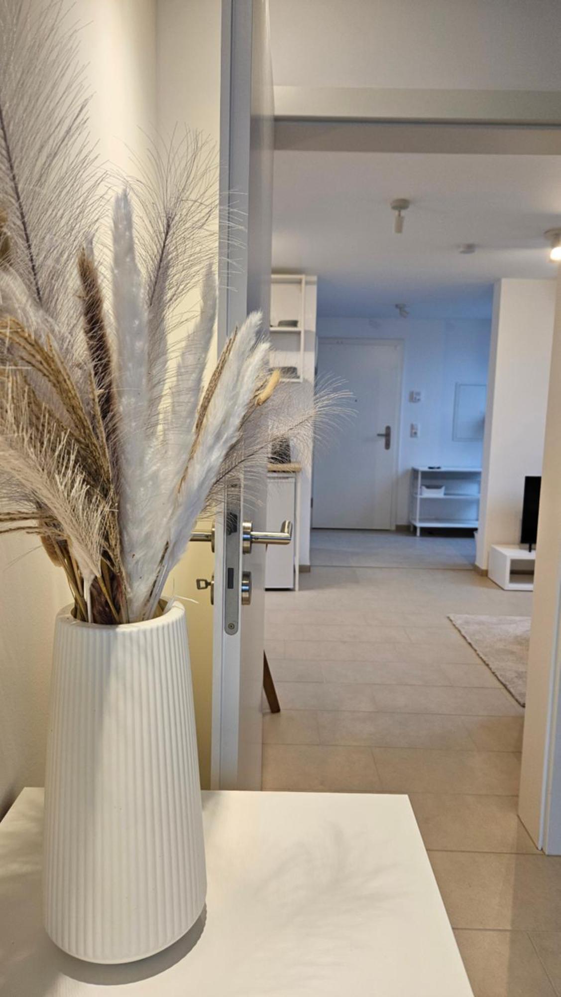 Ferienwohnung As5 Two Bamberg - Zentrale Lage Mit Parkplatz 哈尔施塔特 外观 照片